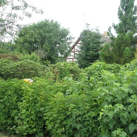 Holiday home Holiday Osterskovvej A- 3373